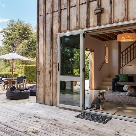 Beech Hill - Pet Friendly Holiday Home Tasman Extérieur photo
