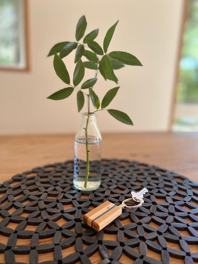 Beech Hill - Pet Friendly Holiday Home Tasman Extérieur photo