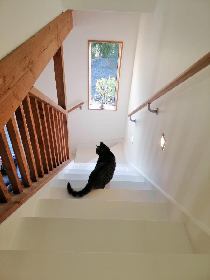 Beech Hill - Pet Friendly Holiday Home Tasman Extérieur photo