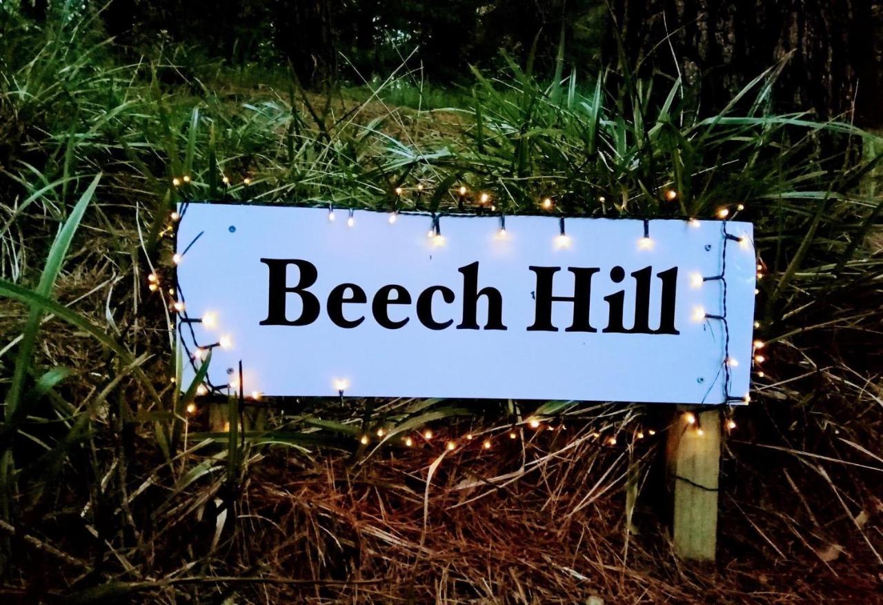 Beech Hill - Pet Friendly Holiday Home Tasman Extérieur photo