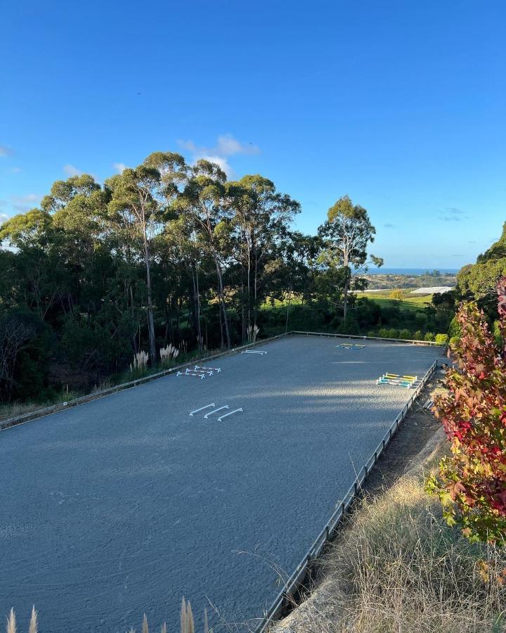 Beech Hill - Pet Friendly Holiday Home Tasman Extérieur photo
