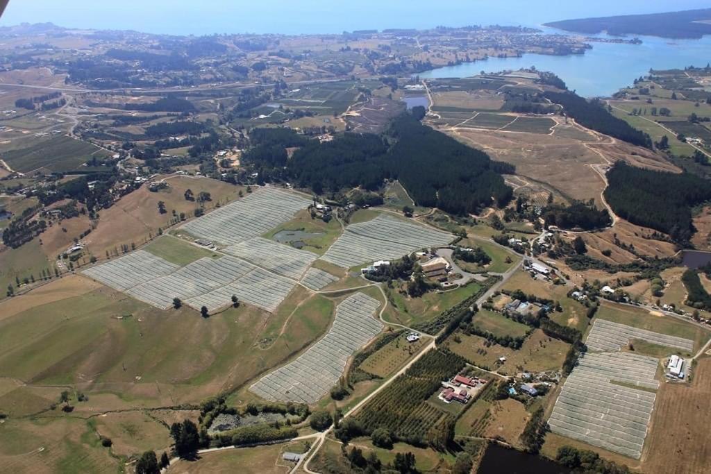 Beech Hill - Pet Friendly Holiday Home Tasman Extérieur photo