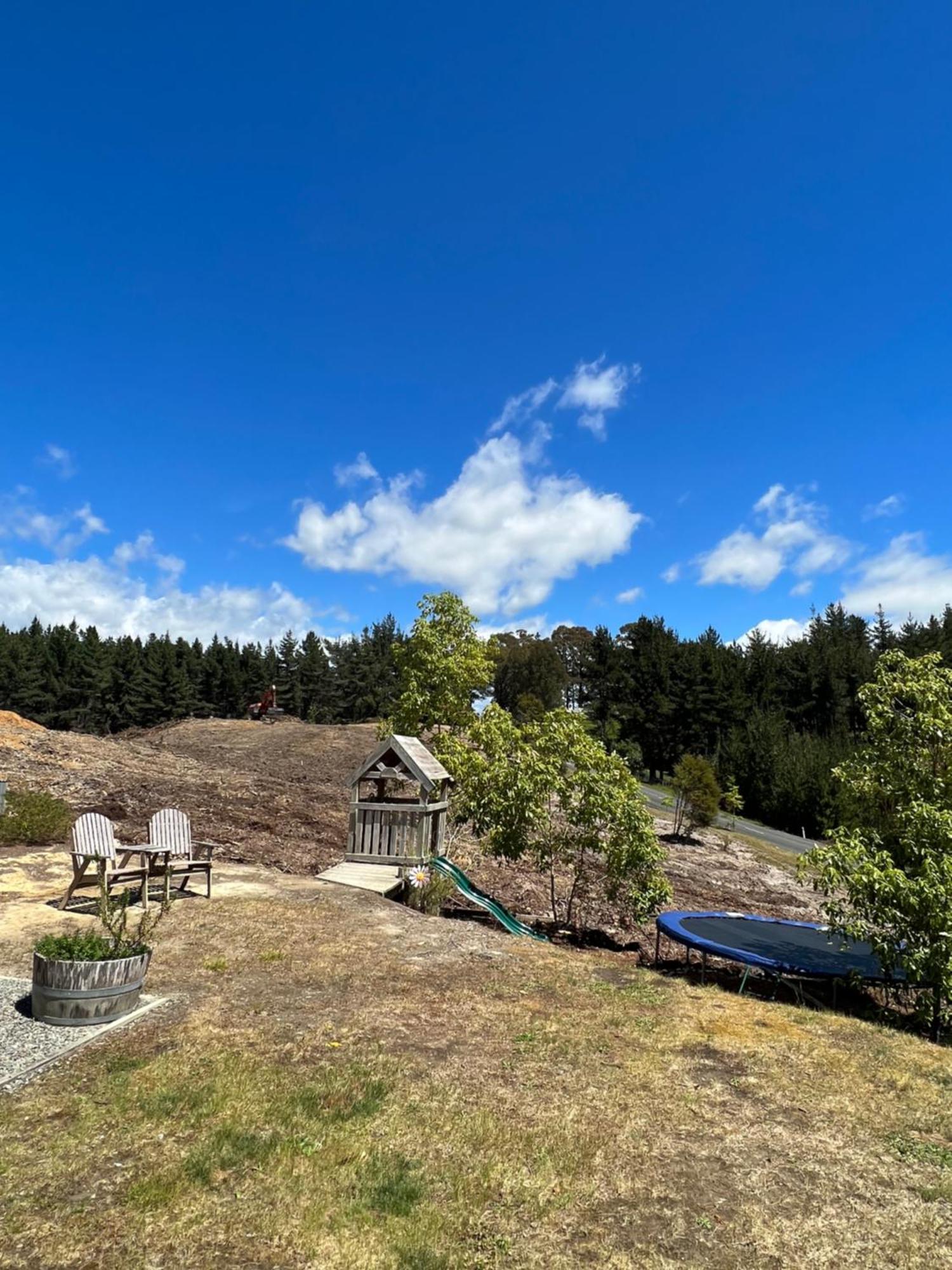 Beech Hill - Pet Friendly Holiday Home Tasman Extérieur photo